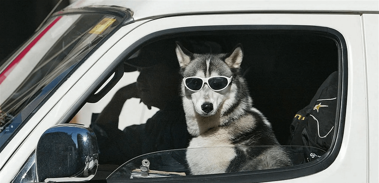 Doc-P-1032002-638102390076497944.png