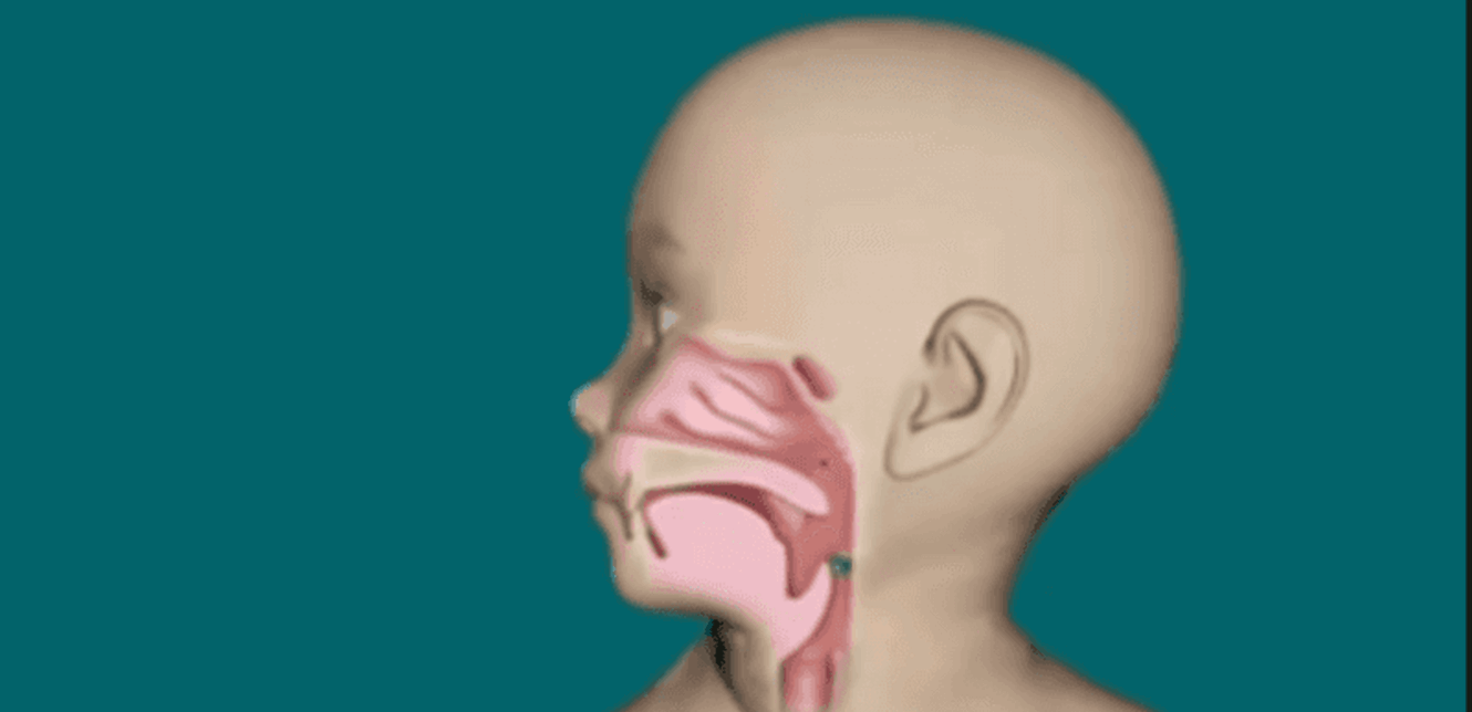 Doc-P-1062895-638187065655076887.png