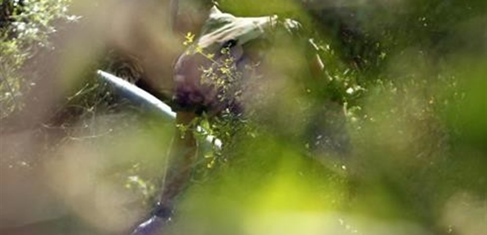 طيف ريفي والحريري.. في جلسة "صواريخ بلّونة!"