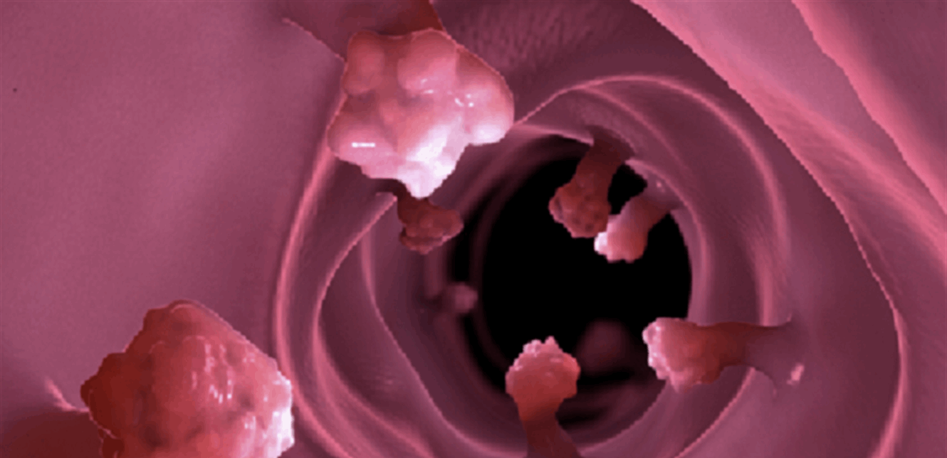 Doc-P-1175963-638462550158483924.png