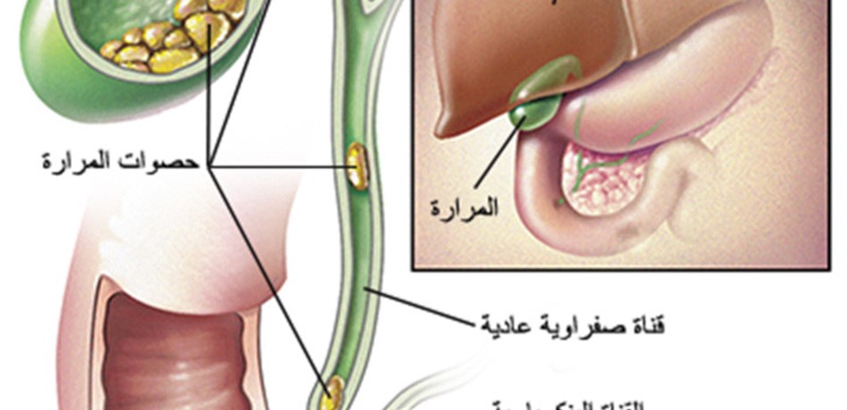 Doc-P-126086-6367053665542183681280x960.jpg