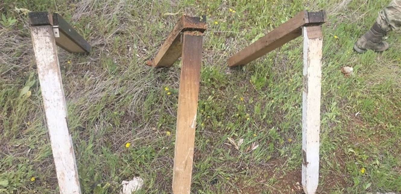 Doc-P-1340545-638789402238563957.jpg