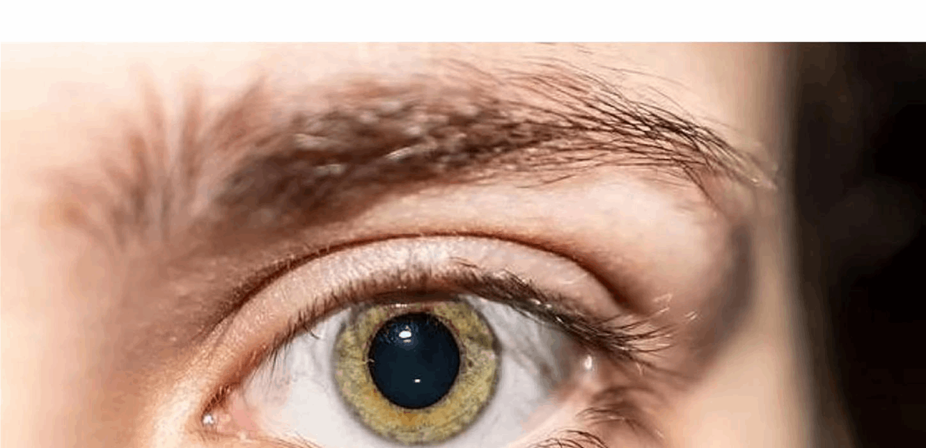 Doc-P-1352368-638813086584706842.png