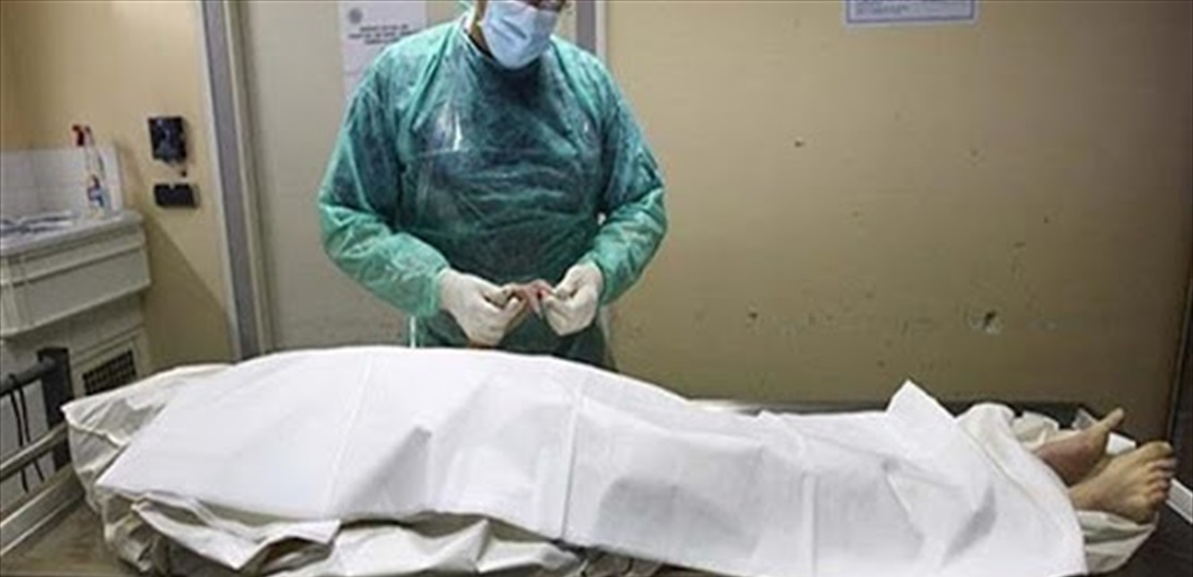 Doc-P-1364475-638835463800725411.jpg