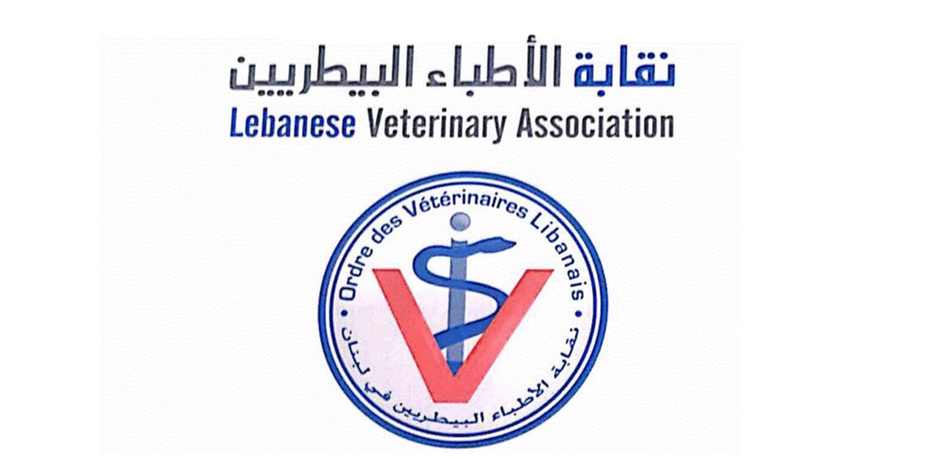 Doc-P-1392882-638883616292141453.jpg