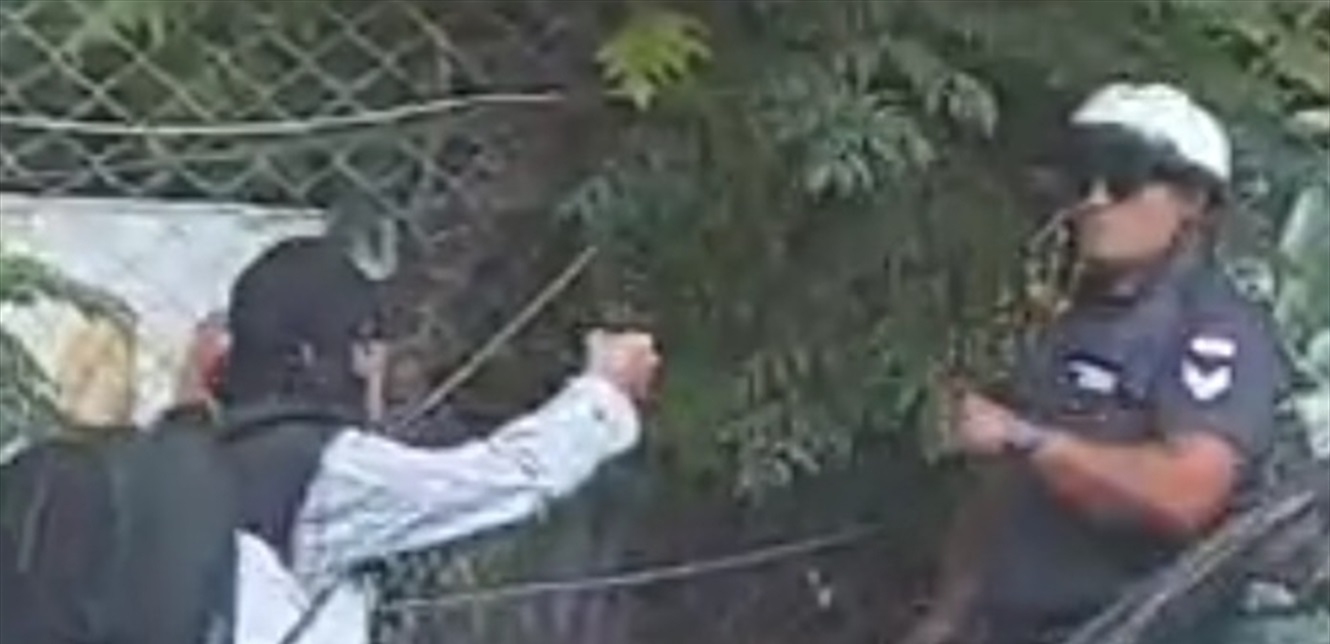 Doc-P-1413502-638927503529132315.jpg