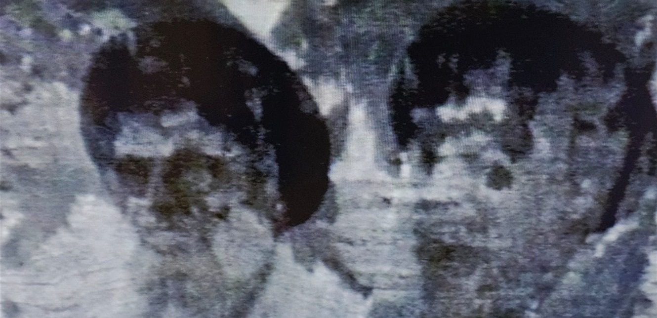 Doc-P-1421496-638944237462977295.jpg