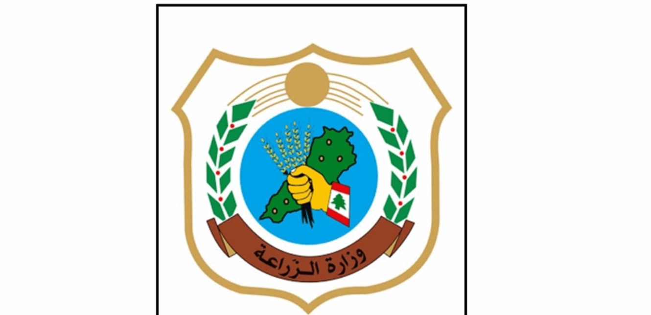 Doc-P-1430281-638962372964832142.png