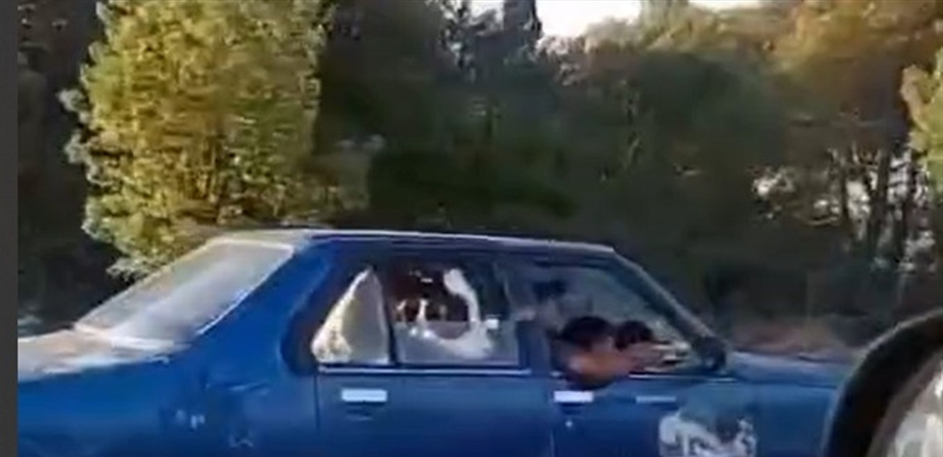 Doc-P-1432090-638966420468669407.jpg