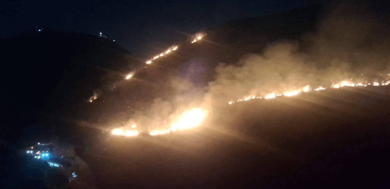 Doc-P-1438512-638979720970029427.jfif