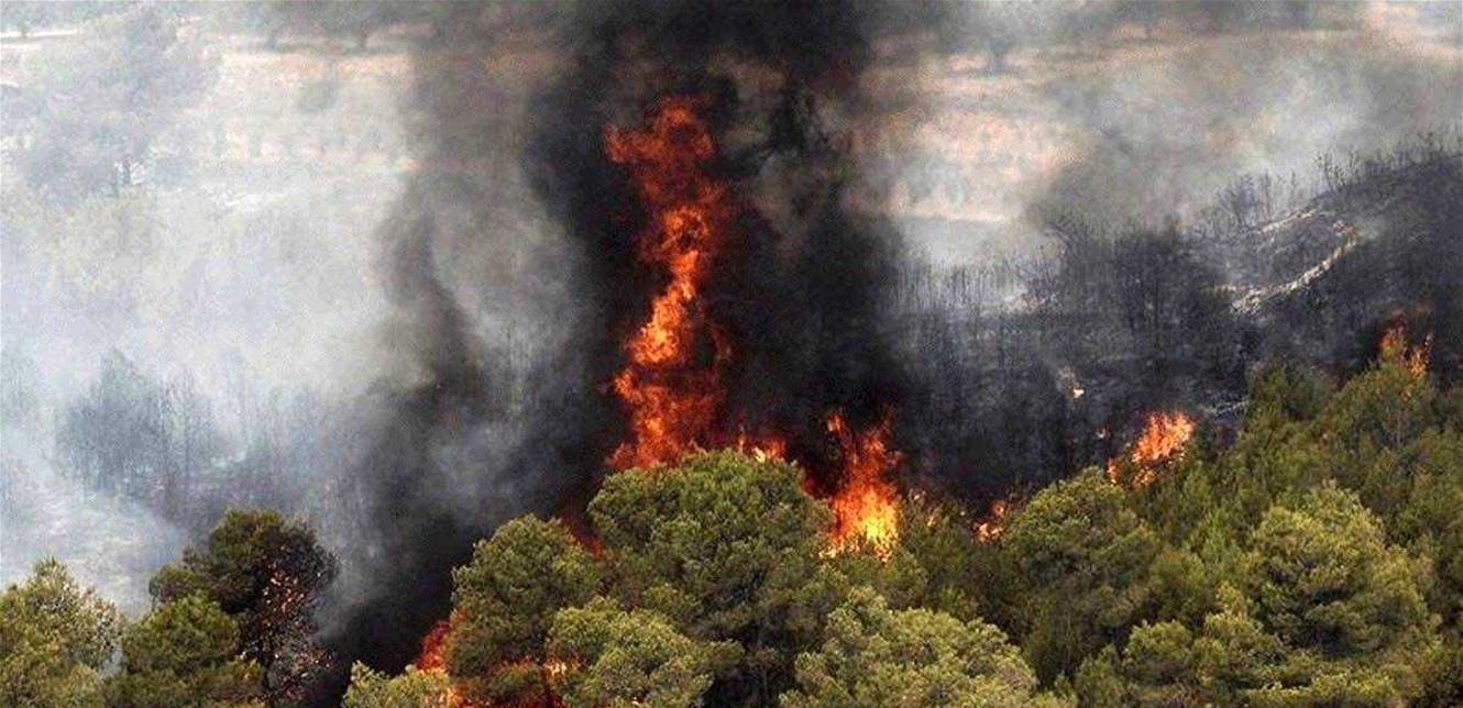 Doc-P-1445420-638994159371163908.jfif