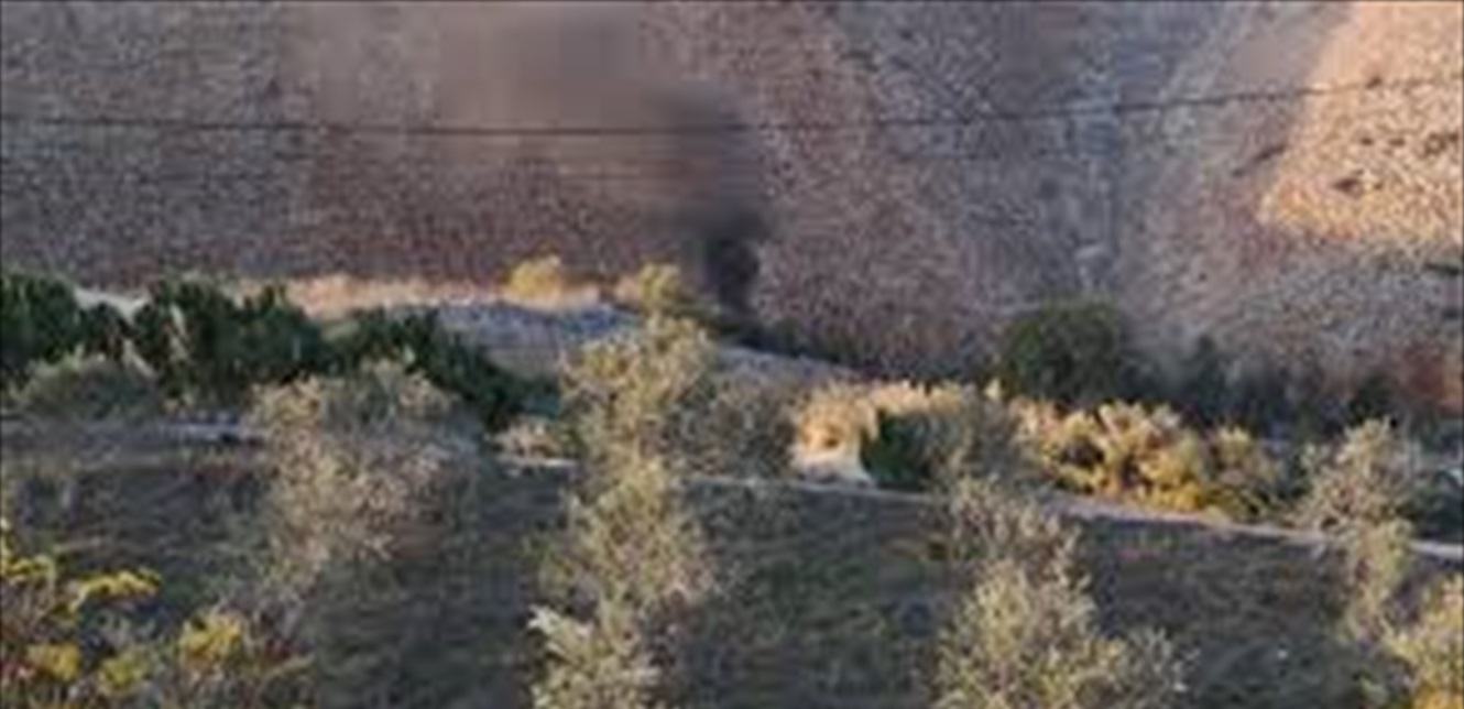 Doc-P-1445470-638994248924440395.jfif