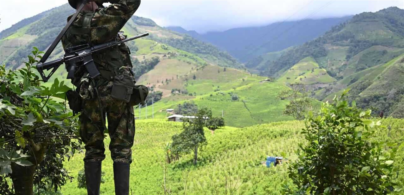 Doc-P-1458286-639019575571093286.jfif