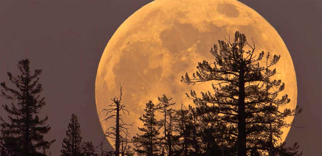 Doc-P-1462590-639029092657051735.jfif