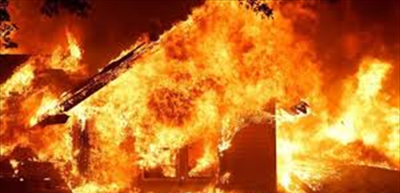 Doc-P-1469062-639040978206177570.jfif