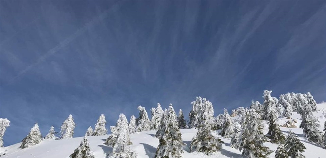 صقيع وجليد يسبقان منخفضاً جوياً.. مصلحة الأرصاد تحذر المزارعين والسائقين