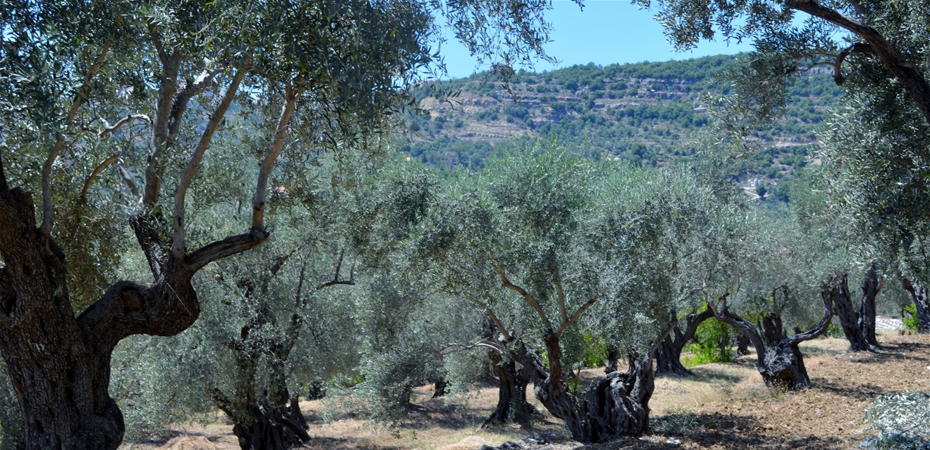 رغم الخسائر الكبيرة... مُبادرات لدعم الجنوبيين