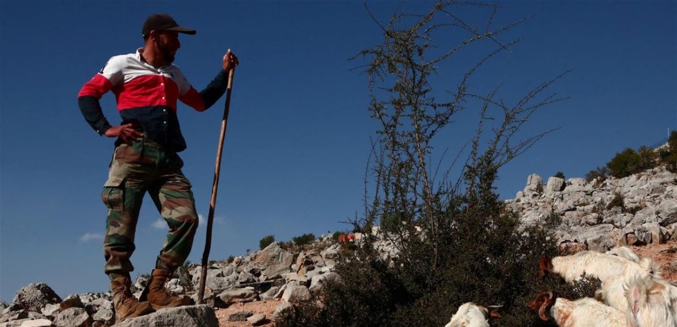 رعاة الجنوب في مرمى المسيّرات.. لقمة العيش مغموسة بالخطر