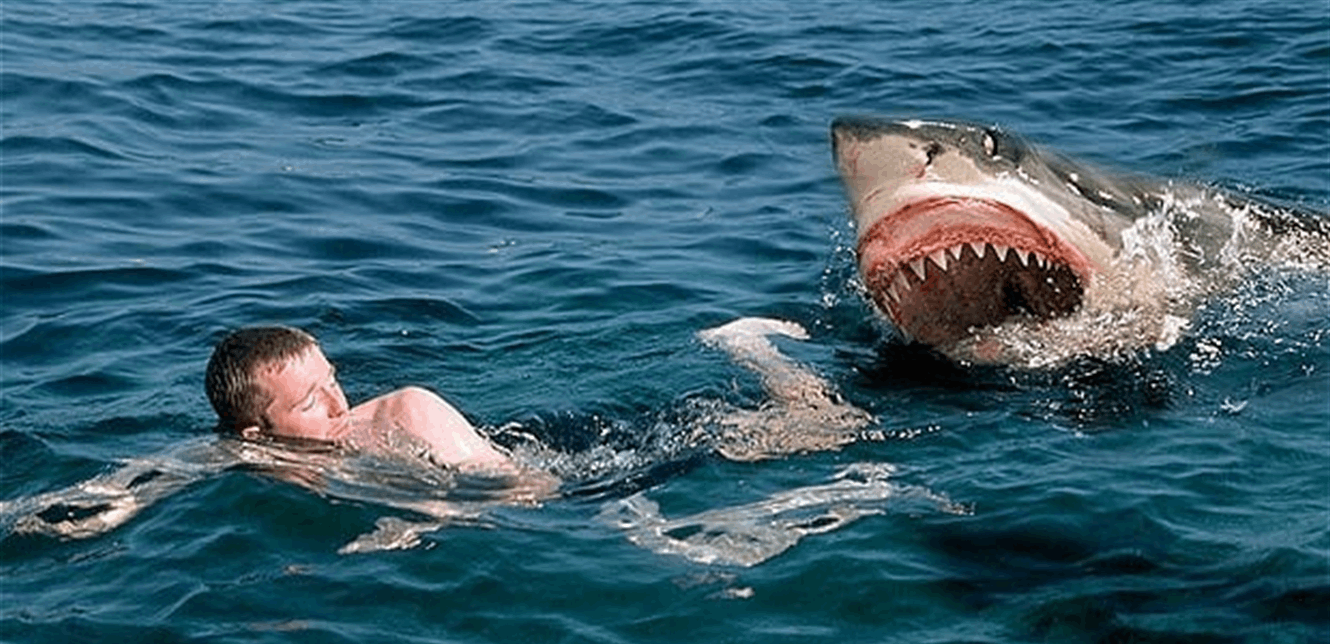 هاجمه القرش.. وفاة مأسوية لابن 12 عاما