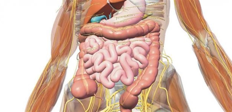 Doc-P-254375-6367055006010219171280x960.jpg