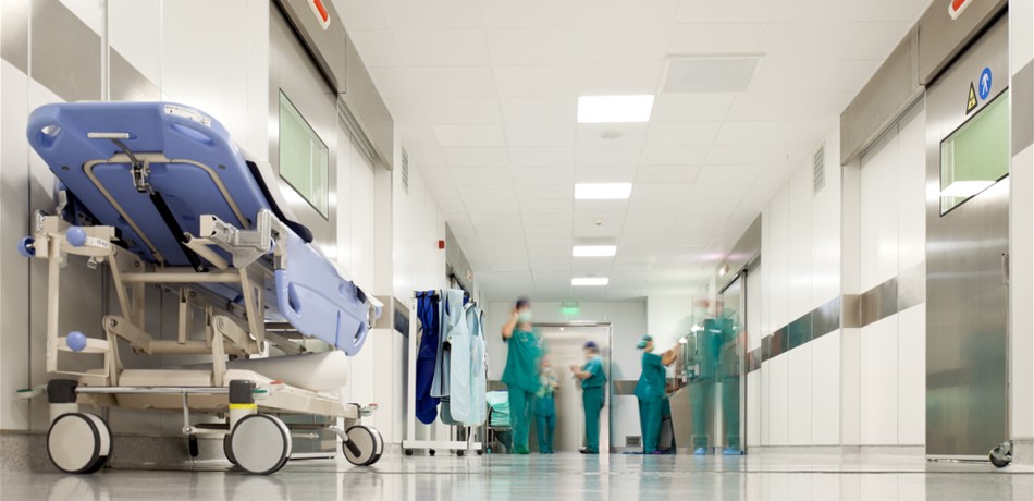 Doc-P-272887-6367055134747332141280x960.jpg