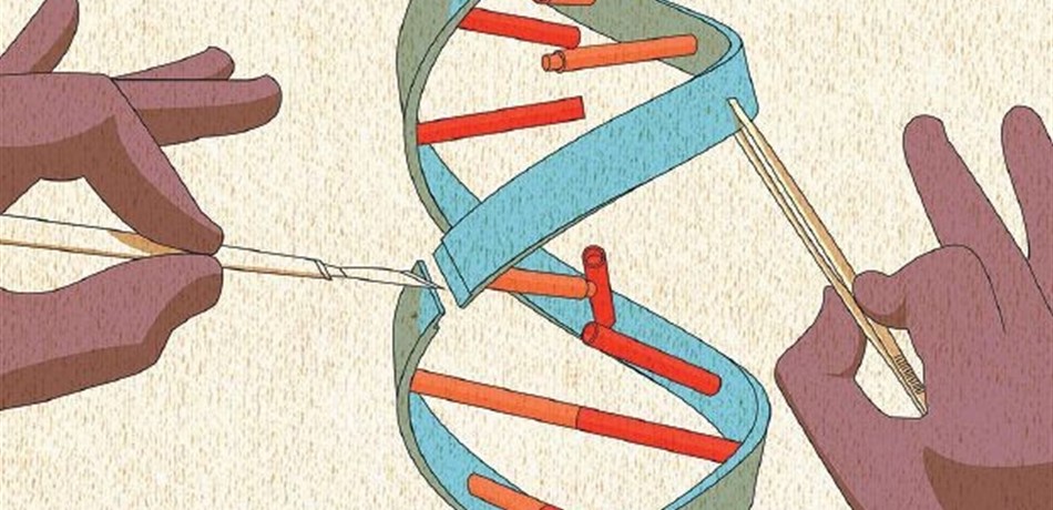 Doc-P-292335-6367055273164509961280x960.jpg