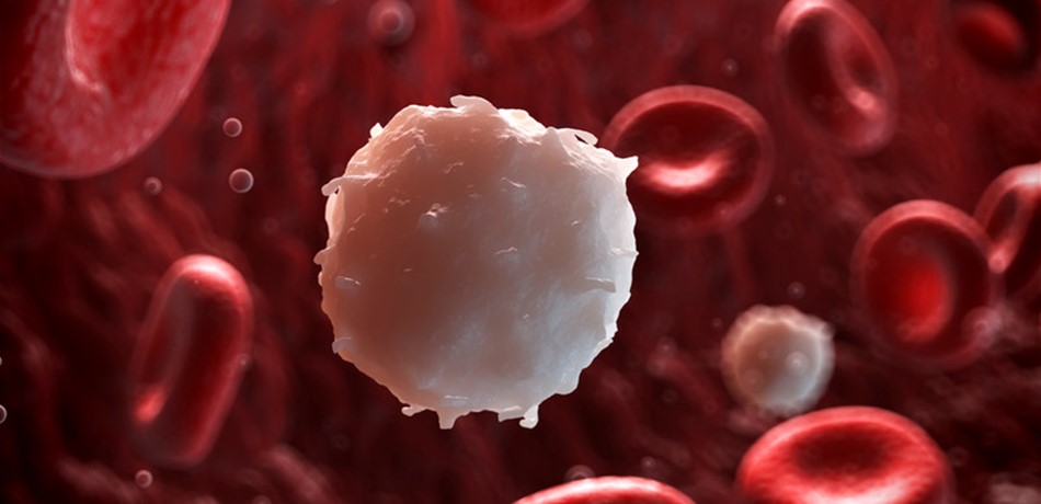 Doc-P-357315-6367055754777937731280x960.jpg