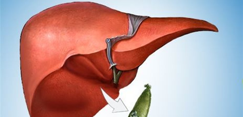 Doc-P-390489-6367056005844525371280x960.jpg