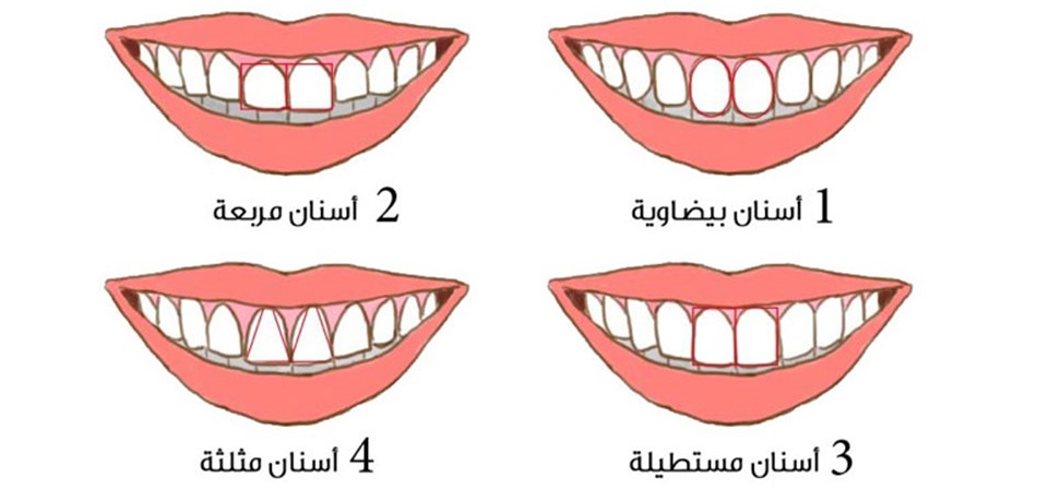 Doc-P-434407-6367056316487840841280x960.jpg