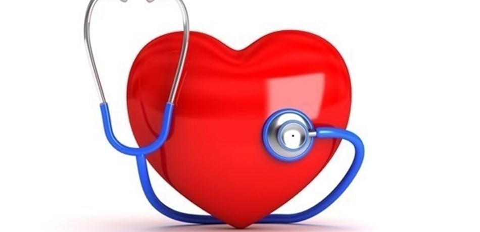 Doc-P-445328-6367056386969103471280x960.jpg