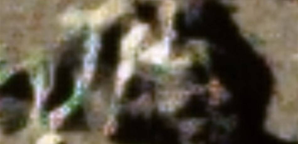 Doc-P-455695-6367056431639185791280x960.jpg