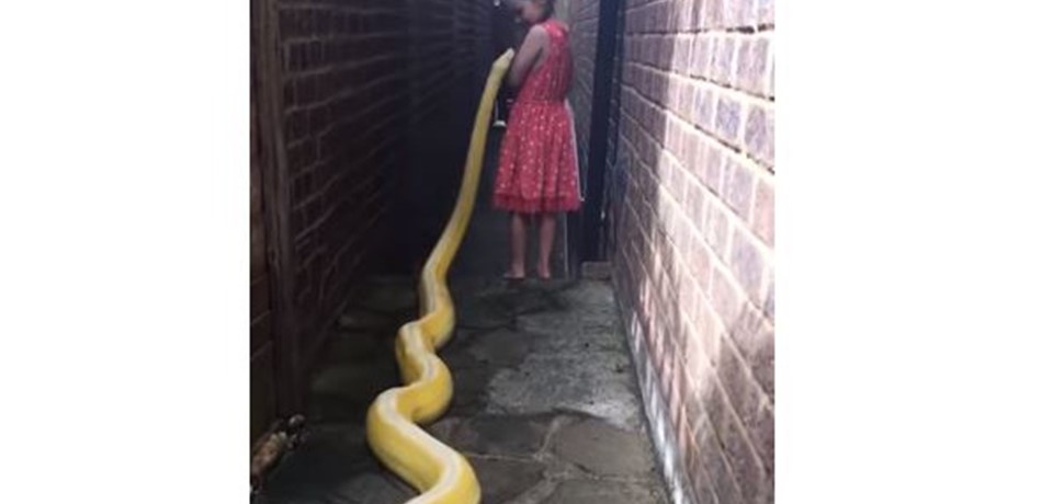 Doc-P-498651-6367056743891677855b615da1cb580.jpeg