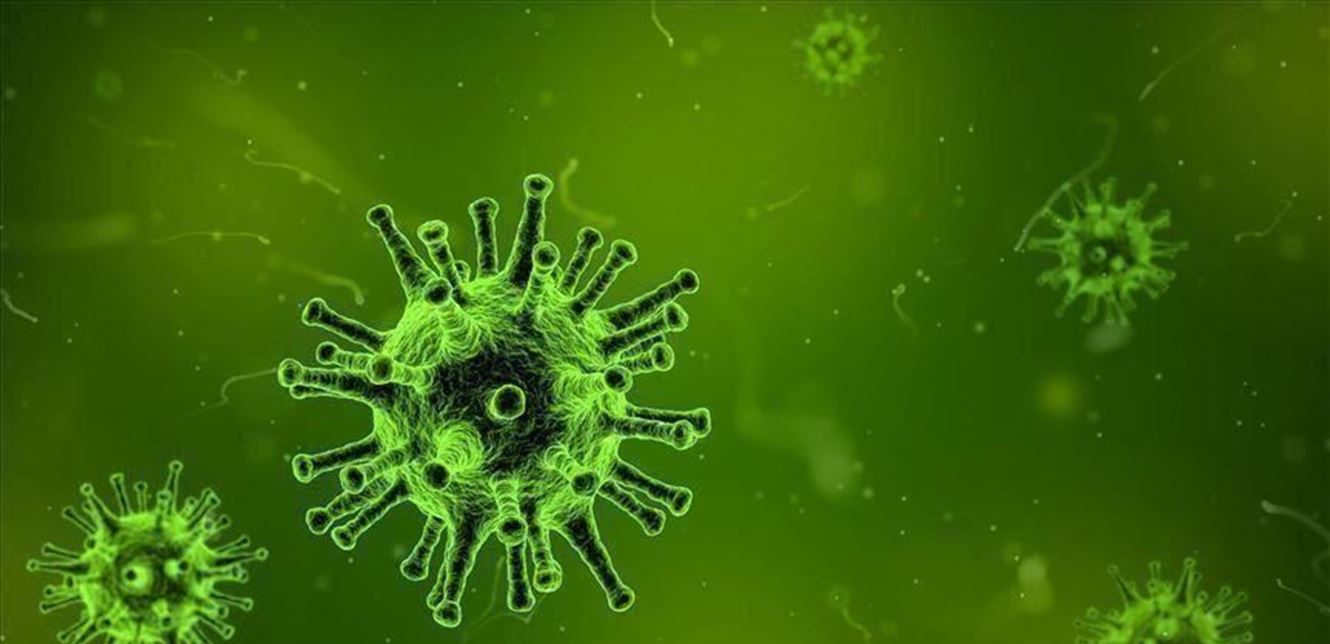 تقرير "إدارة الكوارث".. إليكم مسار فيروس كورونا في لبنان (صور)