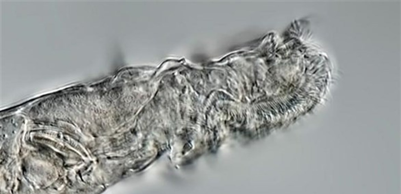 Doc-P-832225-637590281834509977.jpg