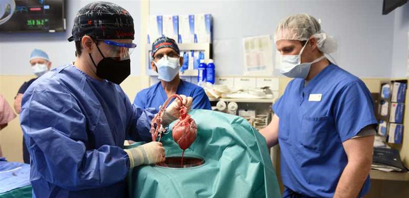Doc-P-912160-637789481218014633.jpg