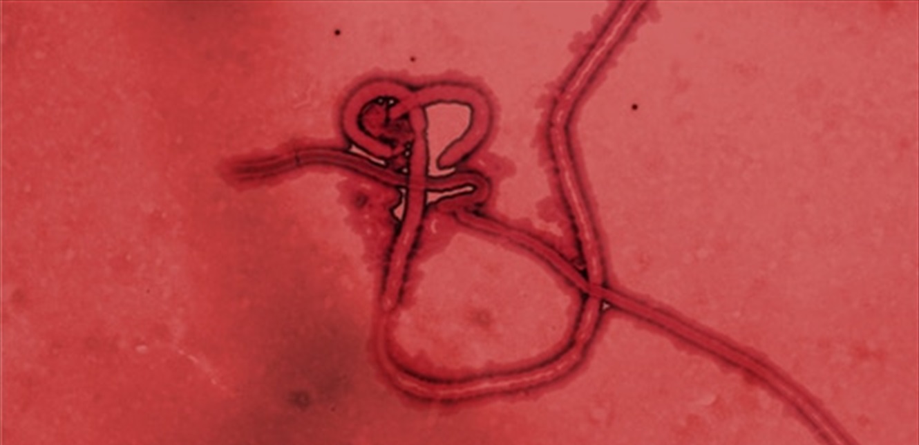 Doc-P-946463-637866535532513272.jpg