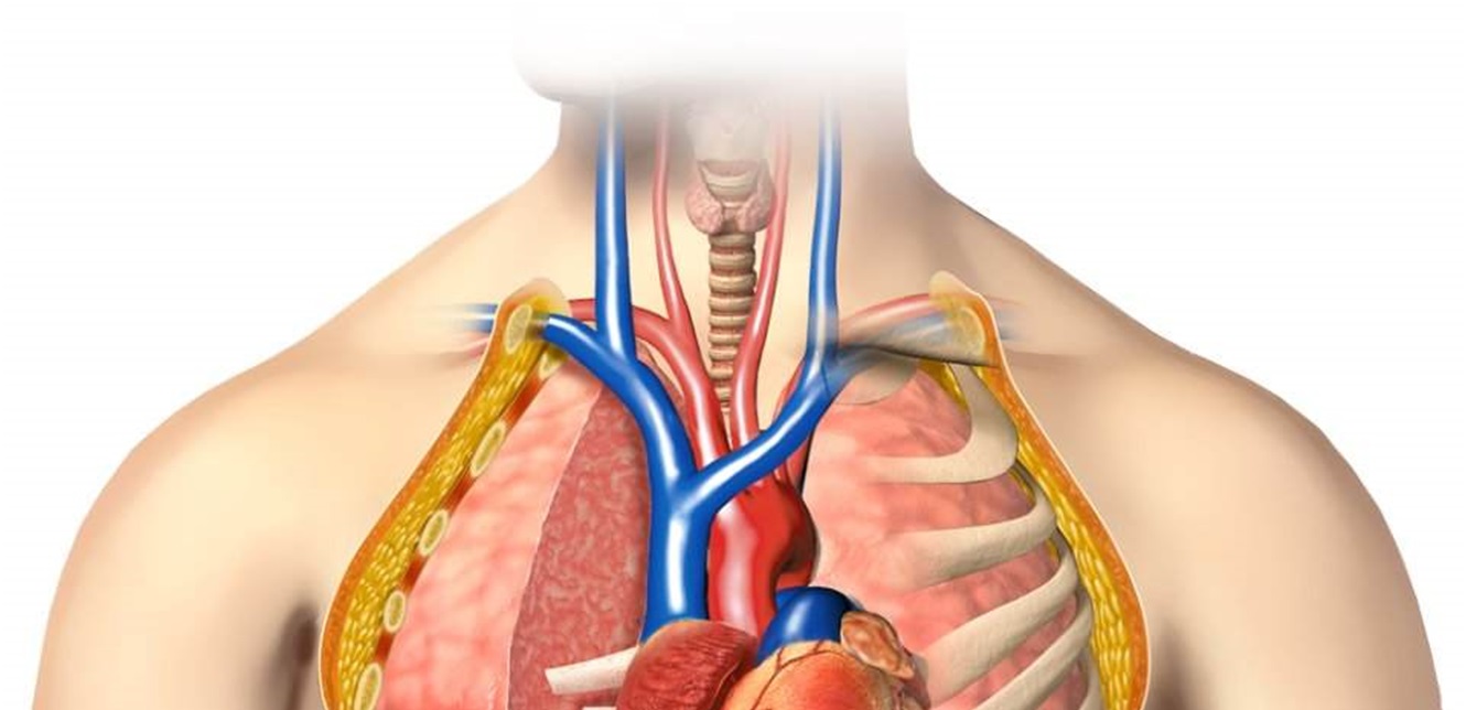 Doc-P-955967-637891209958098887.jpg