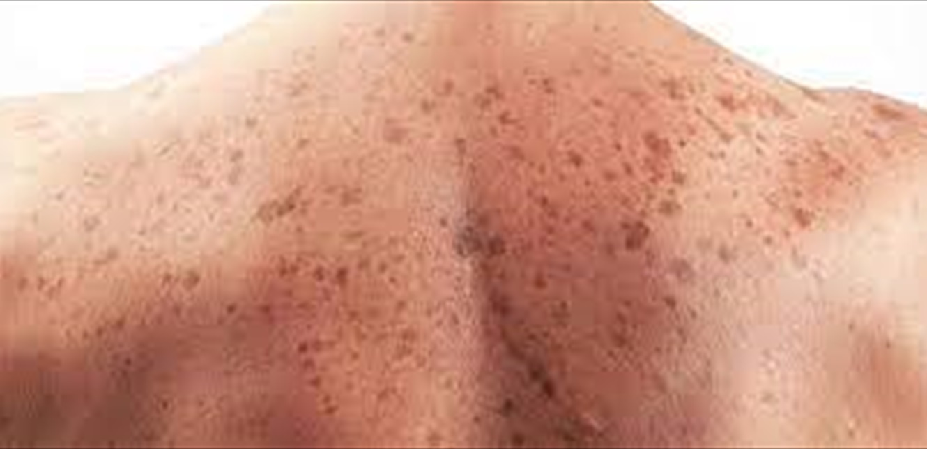 Doc-P-975676-637946821785866342.jpg