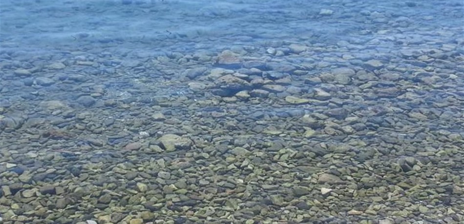 PGB-471707-6367056543721967355af3f713f36ac.jpeg