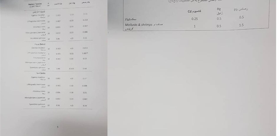 PGB-494919-6367056715090293555b505a774a3e4.jpeg