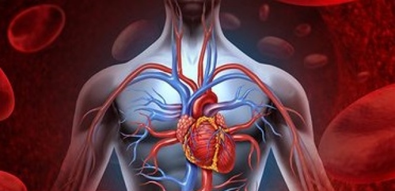 Doc-P-1242542-638610279570362947.jpg