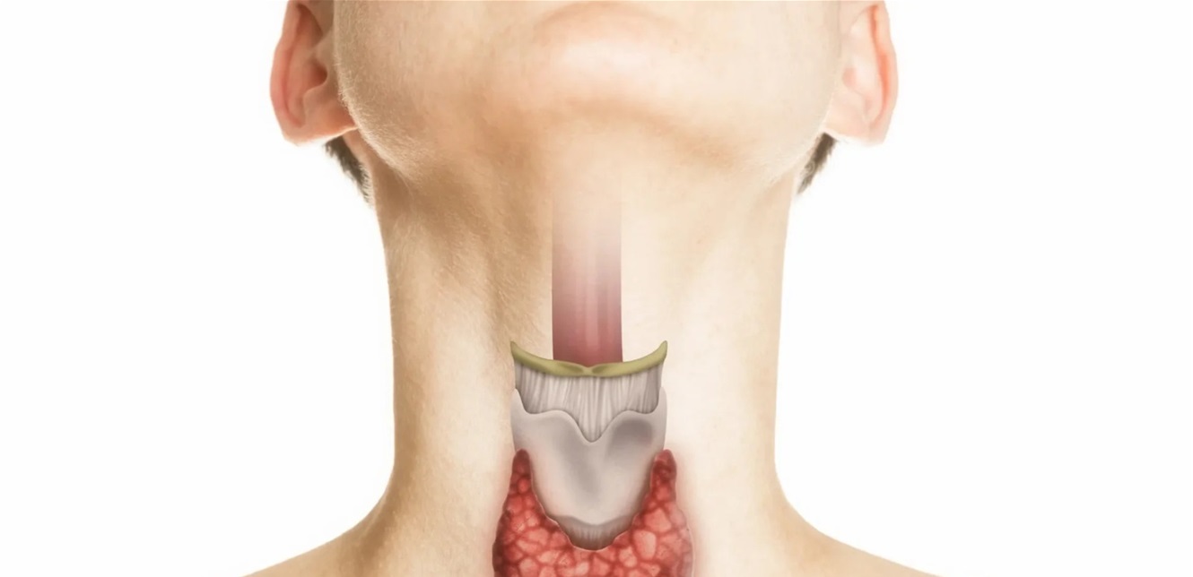 Doc-P-1409347-638918372765488250.png
