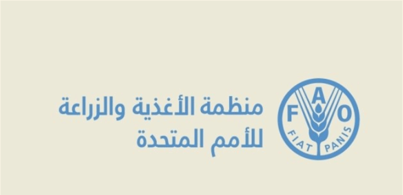 Doc-P-1429618-638961180138033727.png