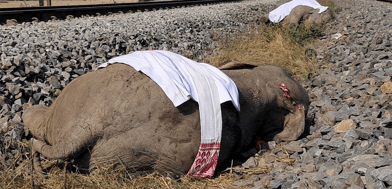 Doc-P-1457793-639018321141893707.jfif