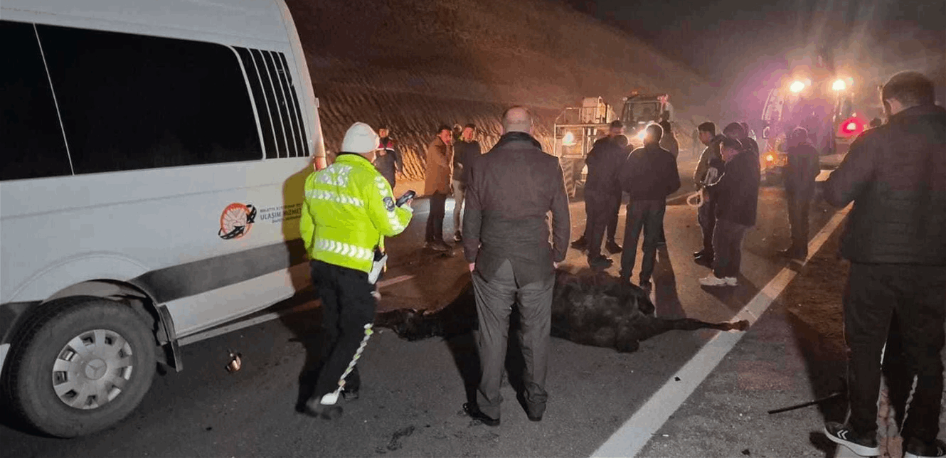 Doc-P-1460369-639023903492277429.jfif