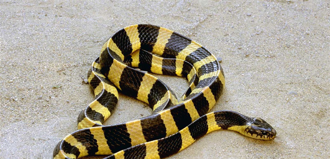 Doc-P-1461665-639026917483482466.jfif