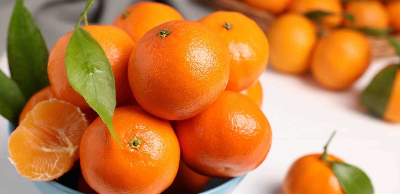 Doc-P-1465237-639034291334313951.jfif