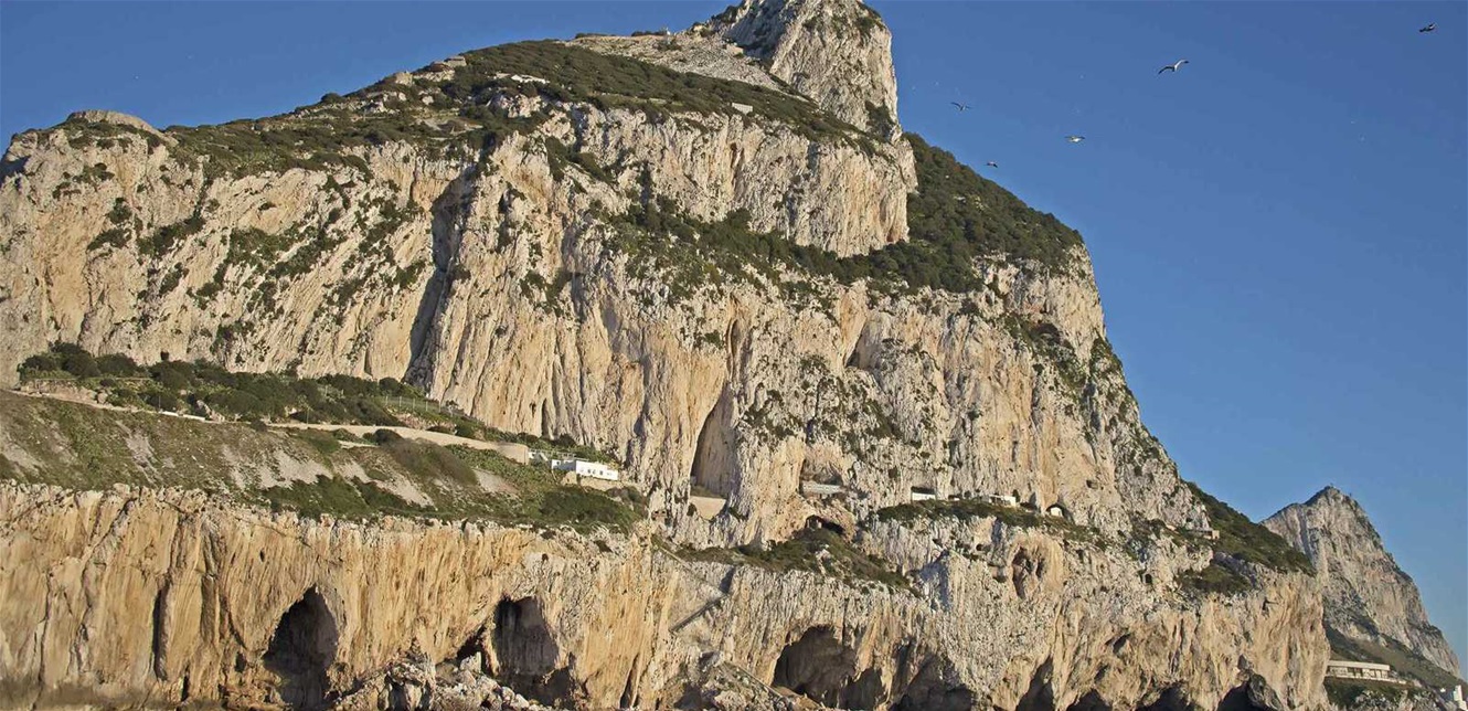 Doc-P-1467517-639038423982241002.jfif