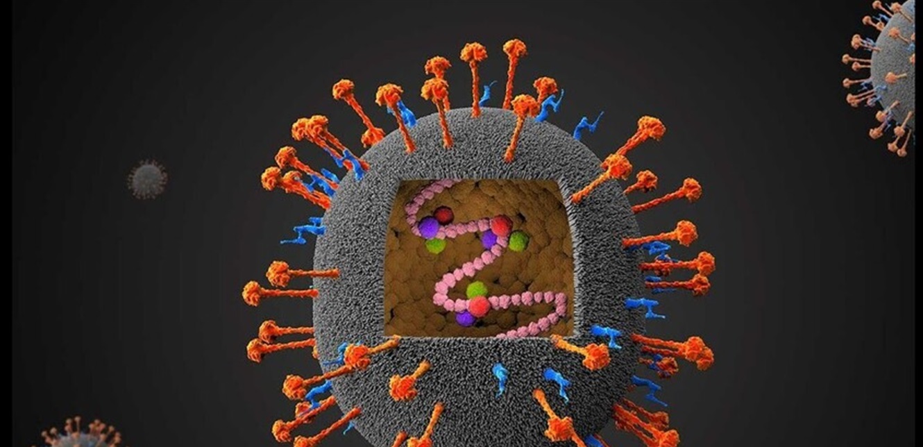 أكثر فتكاً من كورونا... فيروس لا شفاء منه ينتشر وهذا عدد المصابين به
