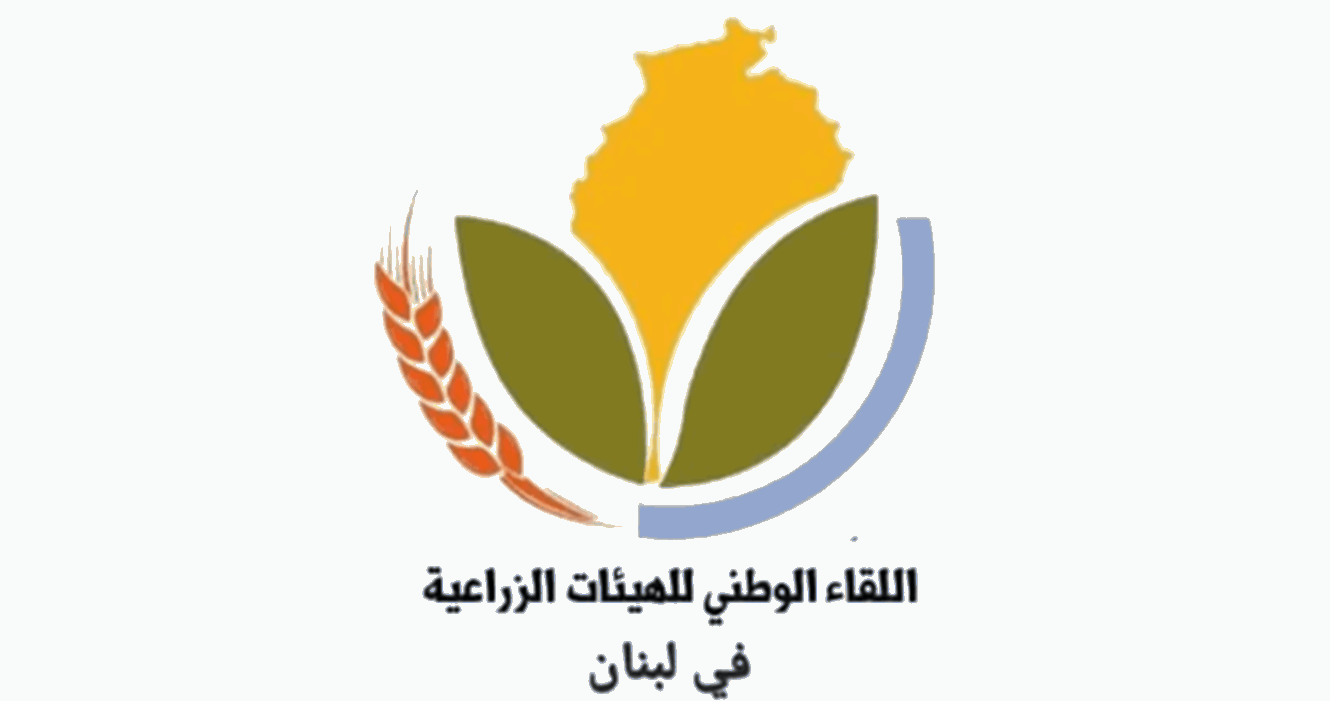 صورة الخبر